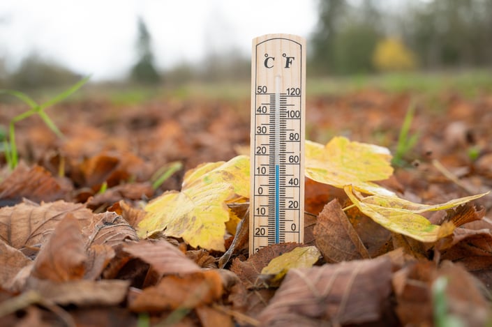 AdobeStock_1566306361