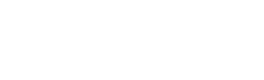 Vixxo Logo White RGB-1