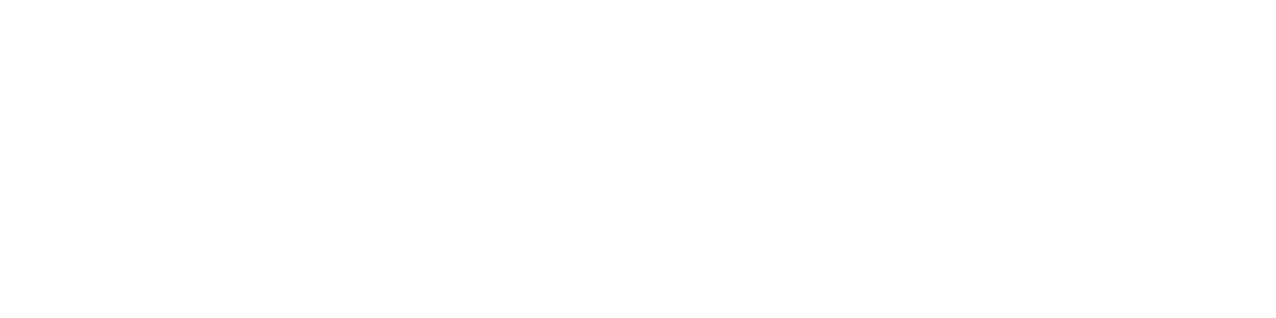 Vixxo_440x110